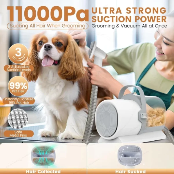 7 In 1 Pet Grooming Vacuum 800W