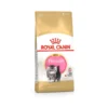 Royal Canin Cat Dry Food 10kg
