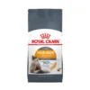 Royal Canin Cat Dry Food 10kg
