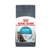 Royal Canin Cat Dry Food 4kg