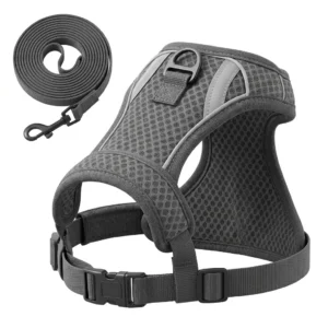 sg-11134201-820l4-mnmmpxdoh9tyc6.webp Reflective Cat Harness and Leash Set