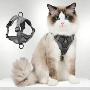 sg-11134201-822xk-mo97uajlpzb5c6.webp Reflective Anti-Escape Cat Harness