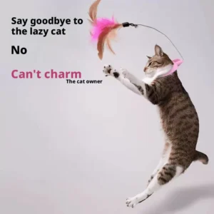 sg-11134201-8259g-ms1bayd4g74080.webp Wearable Cat Teaser Collar Feather Toy