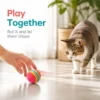sg-11134201-8259i-mrr5942ab6ki66.webp Rainbow EVA Rolling Cat Ball