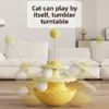 sg-11134201-825aa-mrzjltja7oxu8b.webp Double Ball Cat Turntable Tumbler Toy